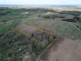 Parduodamas  sklypas Rudeikiškių k., Širvintų r. sav., 138 a ploto 9