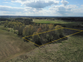 Parduodamas  sklypas Rudeikiškių k., Širvintų r. sav., 138 a ploto 12