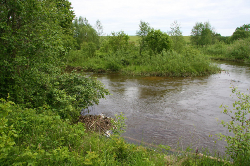 Parduodamas namas Pavirinčių, Pavirinčių k., Anykščių r. sav., 3216 m2 ploto, 2 aukštai 32