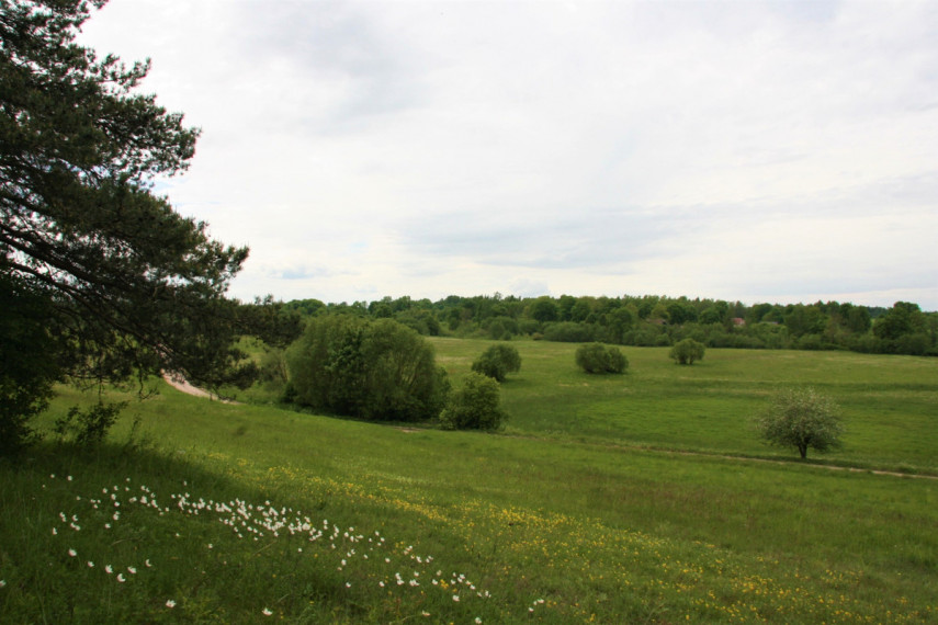 Parduodamas namas Pavirinčių, Pavirinčių k., Anykščių r. sav., 3216 m2 ploto, 2 aukštai 37