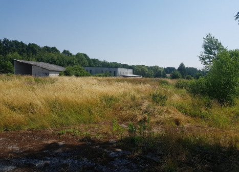 Parduodamas  sklypas Lapyno g.3, Samylų k., Kauno r. sav., 17.09 a ploto