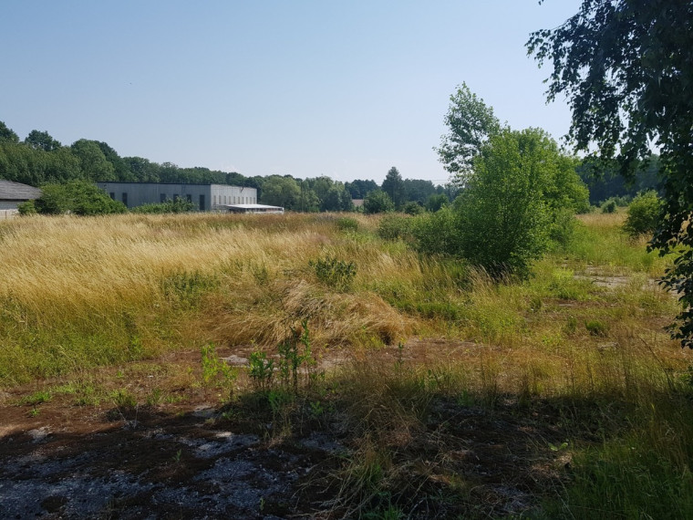 Parduodamas sklypas Lapyno g.3, Samylų k., Kauno r. sav., 17.09 a ploto 2