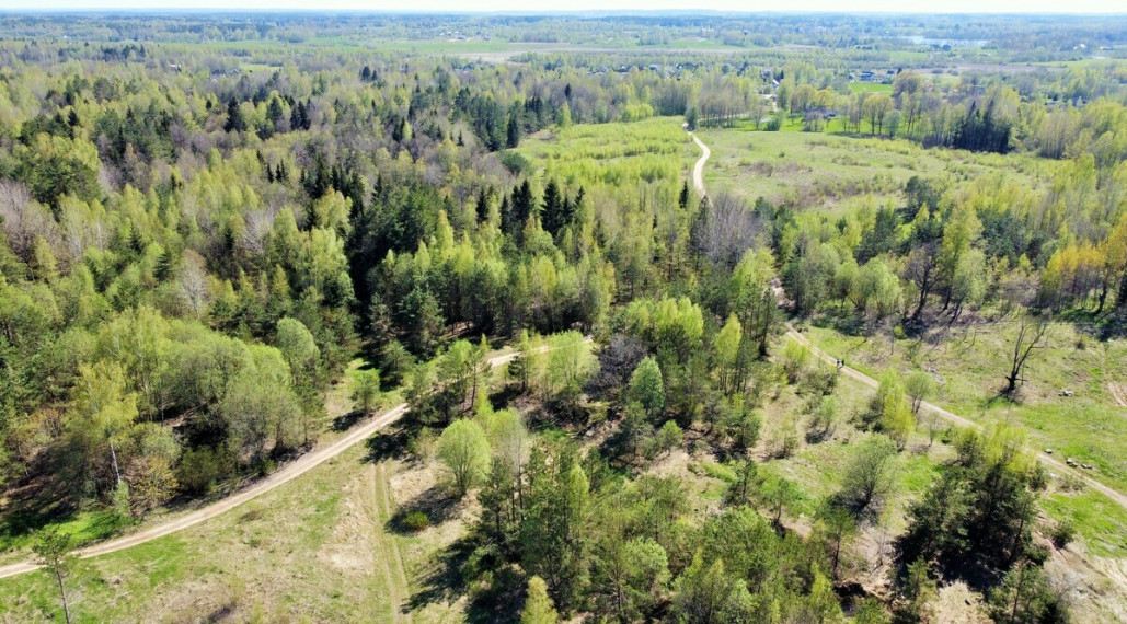 Parduodamas žemės ūkio paskirties sklypas Tarpučių k., Vilniaus r. sav., 95.5 a ploto 2