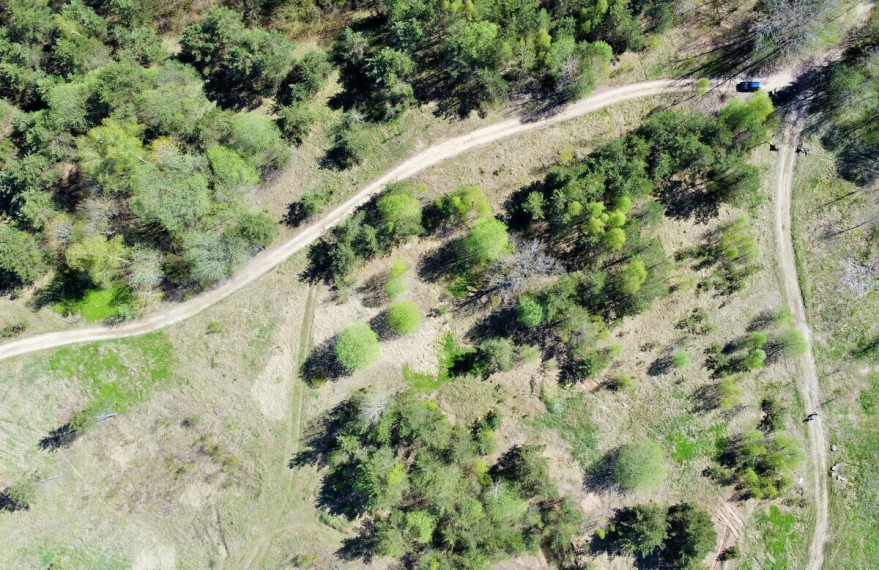 Parduodamas žemės ūkio paskirties sklypas Tarpučių k., Vilniaus r. sav., 95.5 a ploto 5