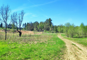 Parduodamas žemės ūkio paskirties sklypas Tarpučių k., Vilniaus r. sav., 95.5 a ploto 8