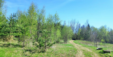 Parduodamas žemės ūkio paskirties sklypas Tarpučių k., Vilniaus r. sav., 95.5 a ploto 9
