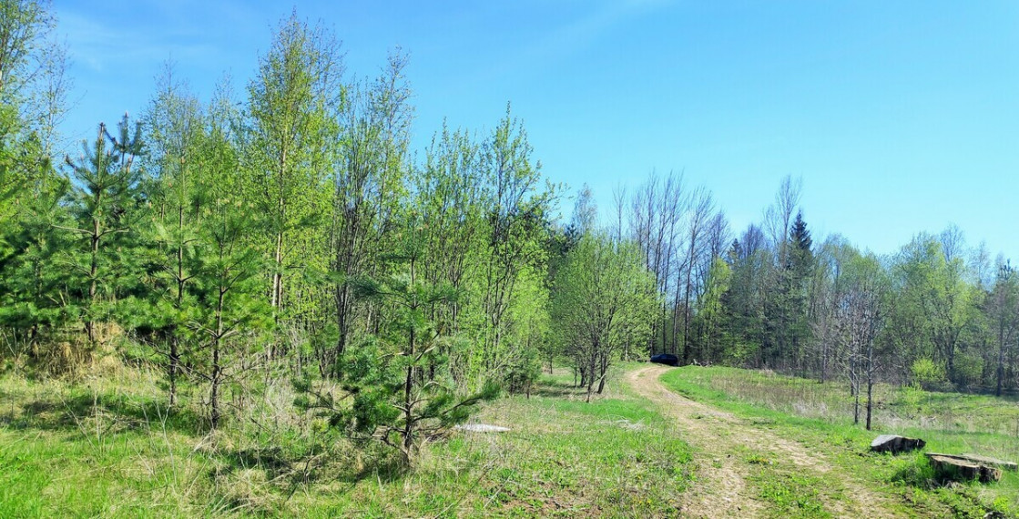 Parduodamas žemės ūkio paskirties sklypas Tarpučių k., Vilniaus r. sav., 95.5 a ploto 9