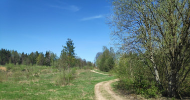 Parduodamas žemės ūkio paskirties sklypas Tarpučių k., Vilniaus r. sav., 95.5 a ploto 10