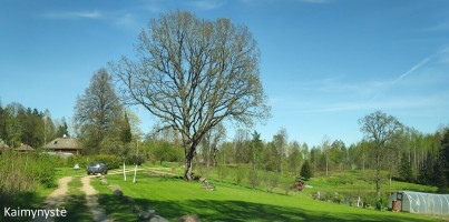Parduodamas žemės ūkio paskirties sklypas Tarpučių k., Vilniaus r. sav., 95.5 a ploto 11