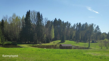 Parduodamas žemės ūkio paskirties sklypas Tarpučių k., Vilniaus r. sav., 95.5 a ploto 12