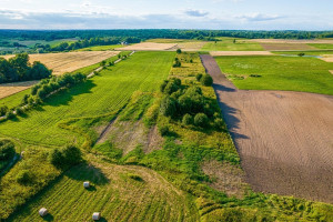 Parduodamas  sklypas Šarkiškių k., Molėtų r. sav., 78 a ploto 7