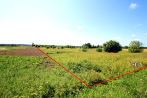 Parduodamas  sklypas Šarkiškių k., Molėtų r. sav., 78 a ploto 9