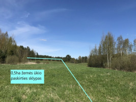 Prie Antalieptės Marių 1898m. sodyba su 0,9ha žemės 10
