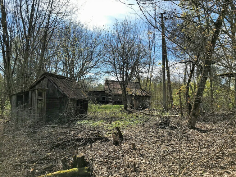 Prie Antalieptės Marių 1898m. sodyba su 0,9ha žemės 18