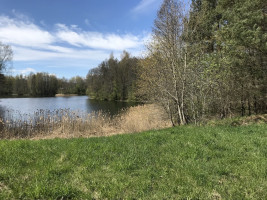 Prie Antalieptės Marių 1898m. sodyba su 0,9ha žemės 21