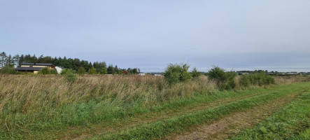 Parduodamas  sklypas Jonažolių g., Stetiškiai, Panevėžio m., Panevėžio m. sav., 6.71 a ploto 5