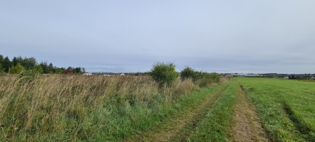 Parduodamas  sklypas Jonažolių g., Stetiškiai, Panevėžio m., Panevėžio m. sav., 6.71 a ploto 6
