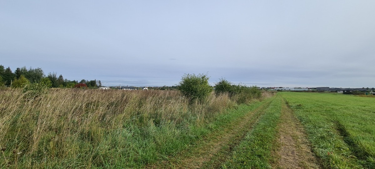 Parduodamas sklypas Jonažolių g., Stetiškiai, Panevėžio m., Panevėžio m. sav., 6.71 a ploto 6