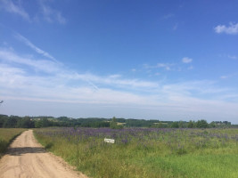 Parduodamas kitos paskirties sklypas Žydiškių k., Kaišiadorių r. sav., 100 a ploto 4