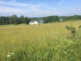 Parduodamas kitos paskirties sklypas Žydiškių k., Kaišiadorių r. sav., 100 a ploto 5