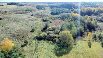 Parduodamas žemės ūkio paskirties sklypas Naujoji, Navasiolkų k., Elektrėnų sav., 1330 a ploto 7