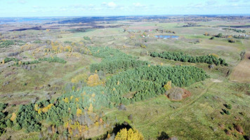 Parduodamas žemės ūkio paskirties sklypas Naujoji, Navasiolkų k., Elektrėnų sav., 1330 a ploto 13