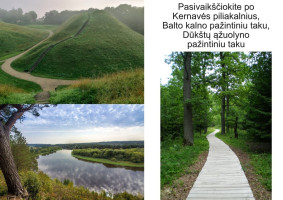Parduodamas  sklypas Ramunių g., Kunigiškių II k., Širvintų r. sav., 30.14 a ploto 15