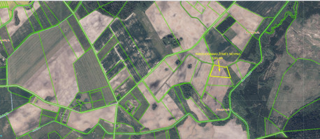 Parduodamas sklypas Dumytrų k., 266 a ploto 1