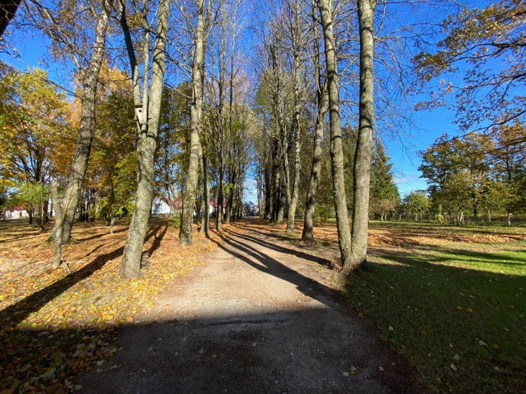 Parduodamas namas Felikso Važinskio g., Pievėnų k., Mažeikių r. sav., 345.82 m2 ploto, 2 aukštai 2