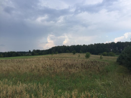 Parduodamas  sklypas -, Bukaučiškių II k., Alytaus r. sav., 62.92 a ploto 2