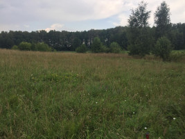 Parduodamas  sklypas -, Bukaučiškių II k., Alytaus r. sav., 62.92 a ploto 3