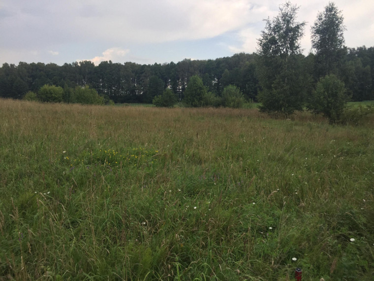 Parduodamas sklypas -, Bukaučiškių II k., Alytaus r. sav., 62.92 a ploto 3