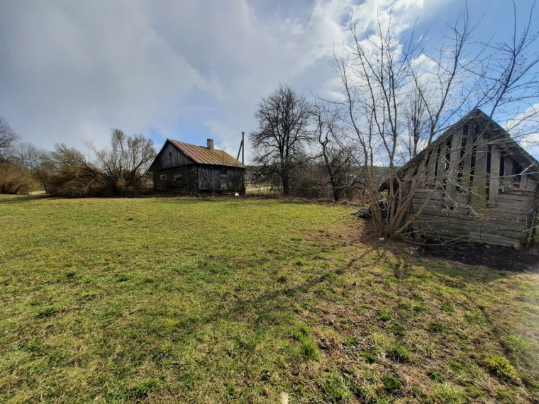 Parduodamas namas Nedzingės, Nedzingės k., Varėnos r. sav., 36.98 m2 ploto, 1 aukštai 2
