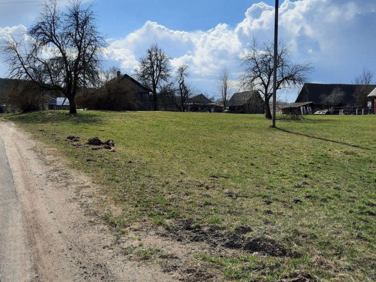 Parduodamas namas Nedzingės, Nedzingės k., Varėnos r. sav., 36.98 m2 ploto, 1 aukštai 3