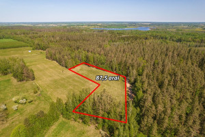 Parduodamas  sklypas Kryžiaukos I k., Širvintų r. sav., 87.5 a ploto 6