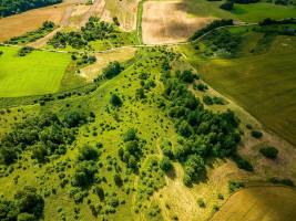 Parduodamas  sklypas Grigiškių k., Širvintų r. sav., 85.77 a ploto 7