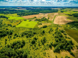 Parduodamas  sklypas Grigiškių k., Širvintų r. sav., 85.77 a ploto 8