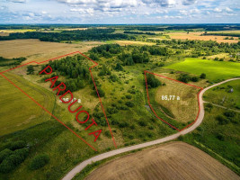Parduodamas  sklypas Grigiškių k., Širvintų r. sav., 85.77 a ploto 1