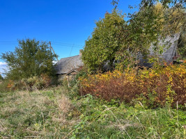 Parduodamas namas Pavašuokių II, Pavašuokių II k., Panevėžio r. sav., 96.6 m2 ploto, 1 aukštai 7