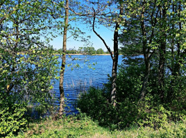 Parduodamas  sklypas Dobilų g., Šventininkų k., Trakų r. sav., 10 a ploto 6