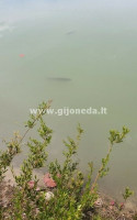 Parduodamas namas Beržų g., Plikių mstl., Klaipėdos r. sav., 232 m2 ploto, 2 aukštai 5