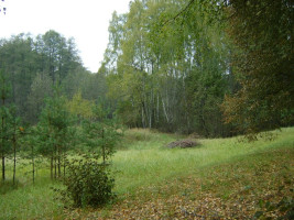 Parduodamas  sklypas Knitiškių k., Ukmergės r. sav., 748.76 a ploto 11