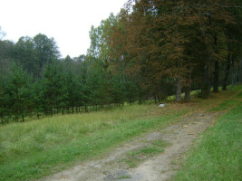 Parduodamas  sklypas Knitiškių k., Ukmergės r. sav., 748.76 a ploto 16