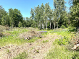 Parduodamas  sklypas Knitiškių k., Ukmergės r. sav., 748.76 a ploto 15