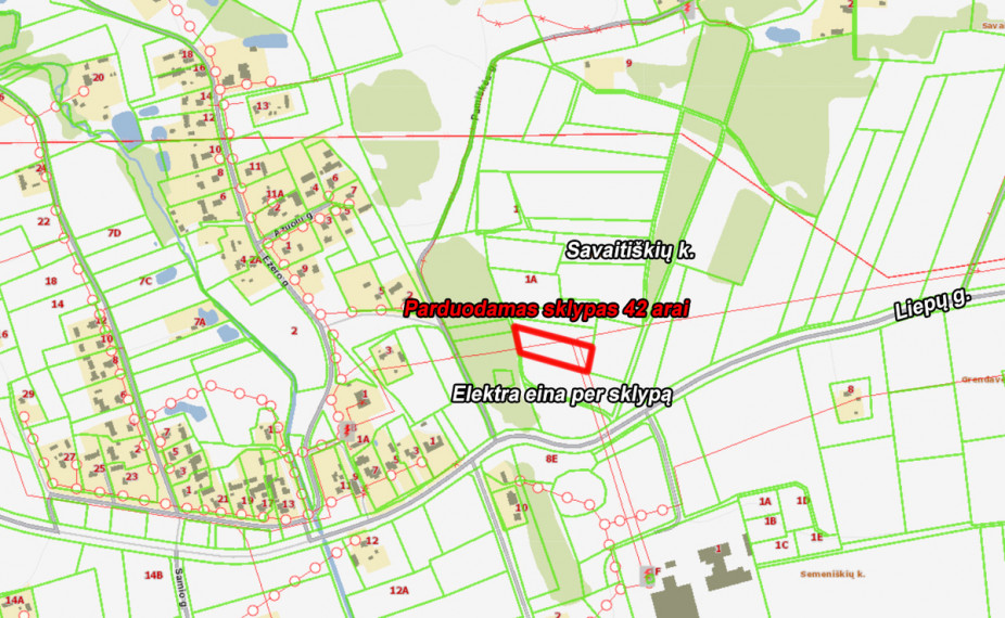 Parduodamas sklypas Grendavės k., Trakų r. sav., 42 a ploto 5