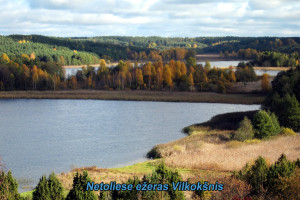 Parduodamas  sklypas Grendavės k., Trakų r. sav., 42 a ploto 7