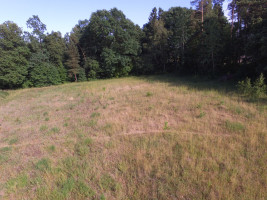 Parduodamas  sklypas Plento g., Radžiūnų k., Alytaus r. sav., 20.75 a ploto 14