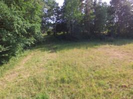 Parduodamas  sklypas Plento g., Radžiūnų k., Alytaus r. sav., 20.75 a ploto 16
