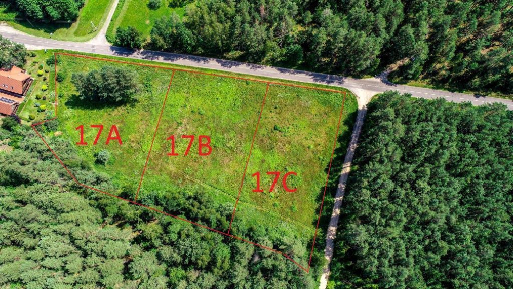 Parduodamas kitos paskirties sklypas Nemuno kel., Diržų k., Druskininkų sav., 37.82 a ploto 4