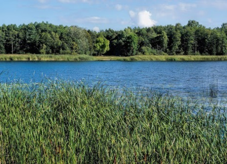 Parduodamas  sklypas Siesikų mstl., Ukmergės r. sav., 162.38 a ploto